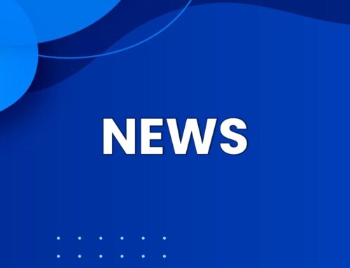 I risultati delle partite del weekend: 23-24 novembre 2024